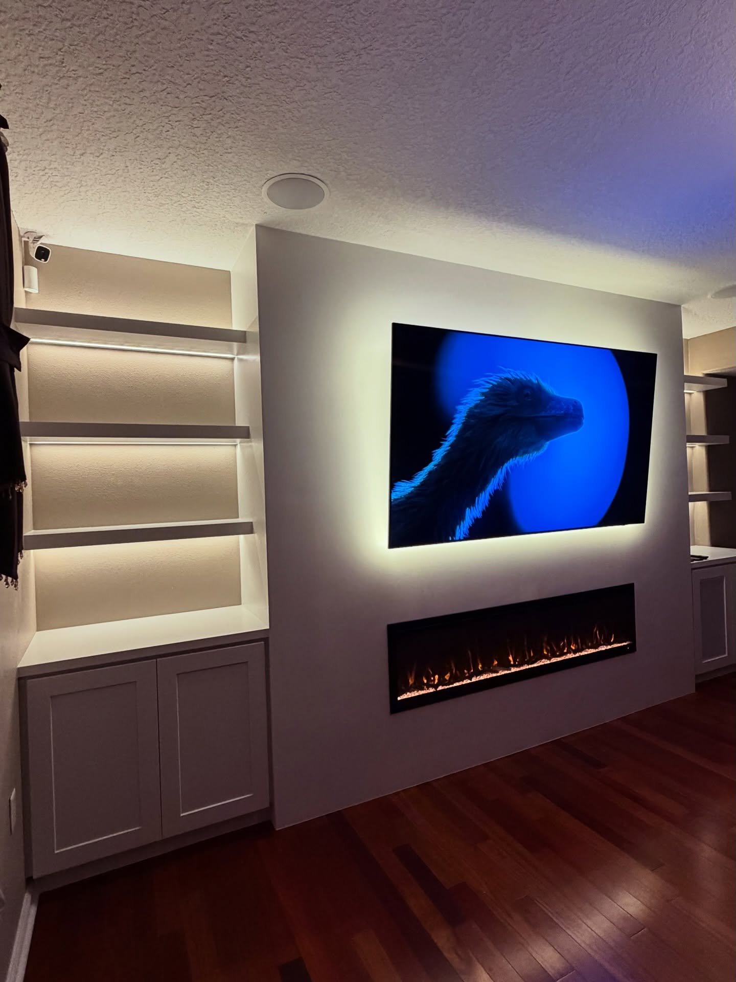 Built-in TV cabinet flanked by display shelving by AVP Construction JAX — Jacksonville & St. John's County, FL